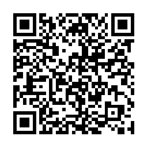 许家的嫡系和分支弟子也可以进入苍茫大陆一脉修炼二维码生成