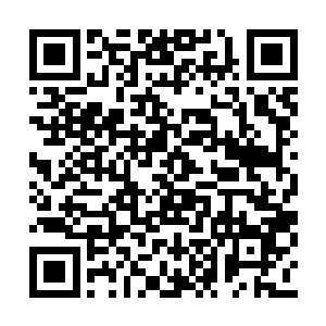 许家老祖等人便毫不犹豫地将这里扔给了许浩苍二维码生成