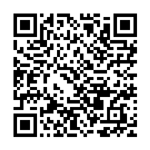 许岚见到裹满白布的许紫烟伸着两只胳膊直直地向着二人走来二维码生成