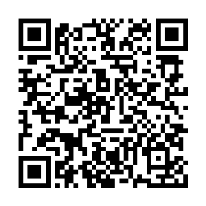 许巍戒指里的好东西都被紫龙和紫东来给瓜分了二维码生成