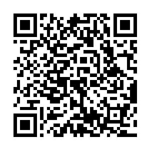 许振山和许琴扬三个人之外所有的许家修士吸进了乾坤球内二维码生成