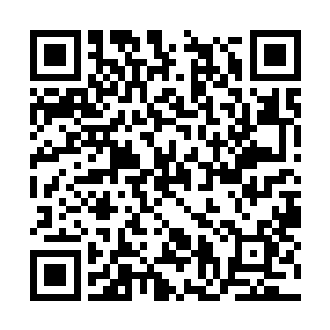 许振山和许琴扬三个人的身形消失在战争城堡之内二维码生成