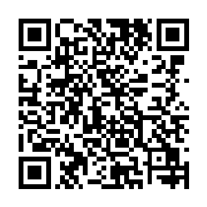 许振山和许琴扬也用一副看白痴的目光望着许紫烟二维码生成