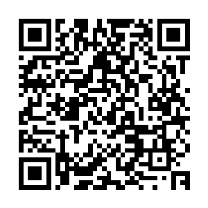 许撼天只是认为许紫烟这是将建木的根茎包裹在体内感悟木属性二维码生成