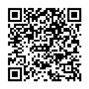 许是因为林嫔的麻木使得贺兰氏突然的就失了兴致二维码生成