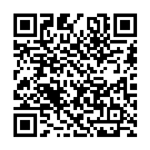 许浩然和许浩博二人萧索地回头向着中都城外望去二维码生成