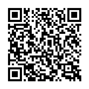 许紫云有着许紫烟和原留下的九重崖和圣崖传承二维码生成