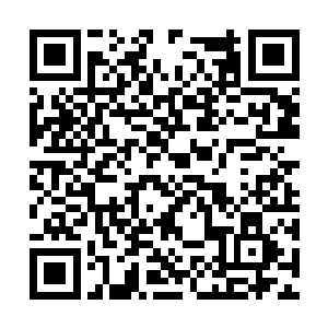 许紫烟一剑逼退身前的一个圣级九层后期巅峰罪犯二维码生成