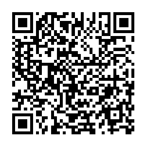 许紫烟一眼就认出这四条龙正是当初在南荒山脉那个山谷中收取的龙脉二维码生成