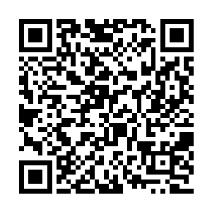 许紫烟不知道四个大乘期修士为什么要隐藏起来二维码生成