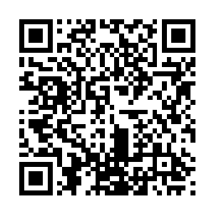 许紫烟也好奇苍茫大陆上的修士究竟是如何谈论自己的二维码生成