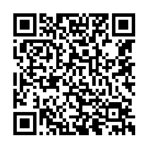 许紫烟也急忙取出了一块下品仙晶放在了柜台上二维码生成