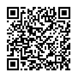 许紫烟低头运用精神力在储物戒指中搜索了一下二维码生成