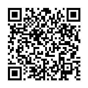 许紫烟其实在心里对苍茫大陆一脉的发展方向早就有了打算二维码生成