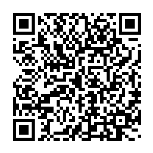许紫烟则是脚踏云宝宝带着四百艘速度极快的小型仙舟在外围游弋着二维码生成