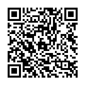 许紫烟刚刚微笑着打发走一个前来套近乎的仙丹师二维码生成