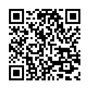 许紫烟化作一道流光钻进了小木木的空中二维码生成