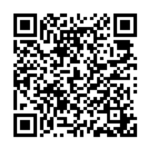 许紫烟和周东旭一边闲逛着一边聊着当初在剑阁时候的趣事二维码生成