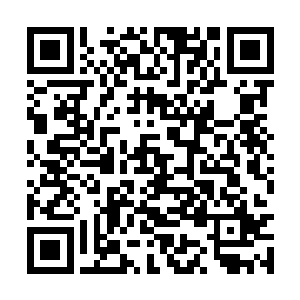 许紫烟和段天涯此时根本就没有出手相救他的心思二维码生成