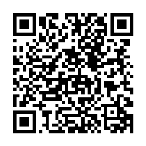 许紫烟和那只圣级大圆满后期巅峰混沌兽一路厮杀着二维码生成