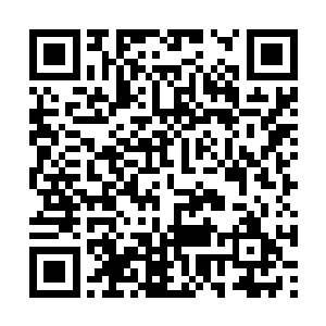 许紫烟和那只混沌兽的身形从无边黑暗中冲了出来二维码生成