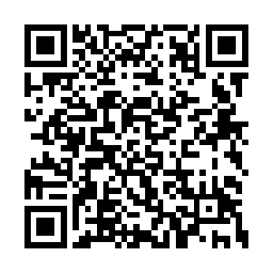 许紫烟对于武拓的狰狞咆哮倒是没有丝毫的害怕二维码生成