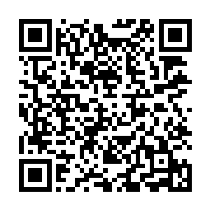 许紫烟将水幕天华上品仙符分发给九大宗主和四堂堂主二维码生成