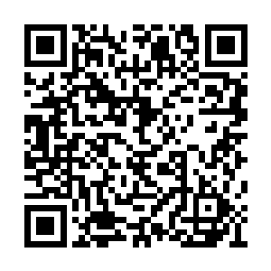 许紫烟带着许家阴蛇一族已经到达了中都城许家二维码生成