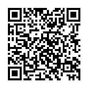 许紫烟当然不会告诉他们百族试炼场已经在太虚宗了二维码生成