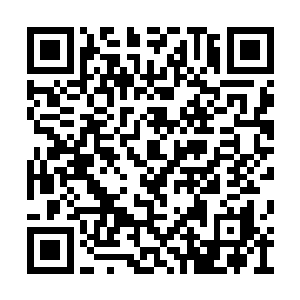 许紫烟想起了燕山魂曾经得到的那颗虫族的内丹二维码生成