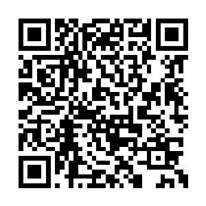 许紫烟收起了飞行水蛭控制着空间向着前方飞去二维码生成