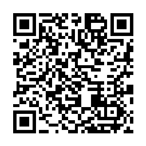 许紫烟无奈地看了一眼和岳京一样自我感觉良好的岳卓群二维码生成