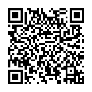 许紫烟望着那个已经是九天玄仙后期巅峰的长老道二维码生成