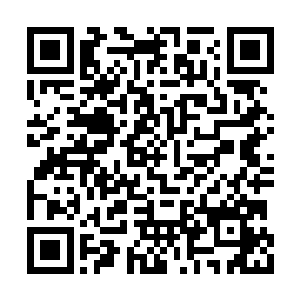 许紫烟此时见到已经达到了自己需要的最佳效果二维码生成