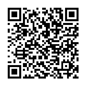 许紫烟用九品符宝在洞口布设了一个低阶的如封似闭大阵二维码生成