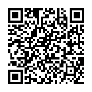 许紫烟的目光穿过了空间望向了云端之上的五只妖兽二维码生成