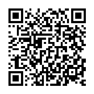 许紫烟的身体如同一支利箭一般地冲向了空中降临的那个轮回盘二维码生成