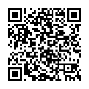 许紫烟的身形如同一颗流星一般地被轰出了裂缝二维码生成