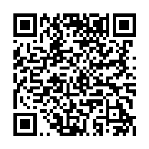 许紫烟的身形来回纵横在混沌兽和域外天魔群里二维码生成