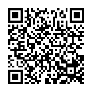 许紫烟突然想起了如今自己也算是对鲲鹏族和巨人族有恩二维码生成