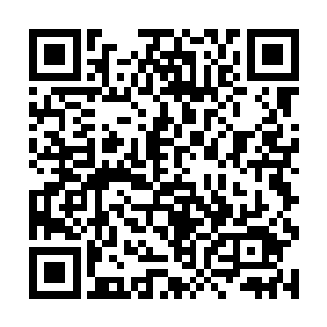 许紫烟笑嘻嘻地又将自己的修为调节到结丹期第八层二维码生成