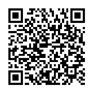 许紫烟等人已经看出哪些蚊子准备尝试攻击护罩的时候二维码生成