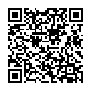 许紫烟等千符峰的弟子才跟着梁之洞回到了千符峰二维码生成