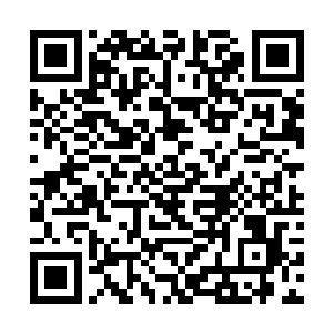 许紫烟终于确定了一个有十五个仙君后期组成的小队二维码生成