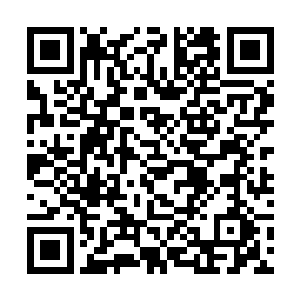 许紫烟见到那云台之上雕刻着八个独立的繁奥的图画二维码生成