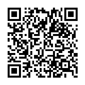 许紫烟让小木木带着她找了大约一个多月的时间二维码生成