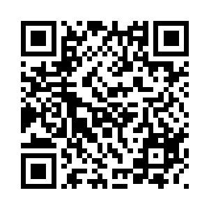 许紫烟还是把小木木召唤进了识海二维码生成