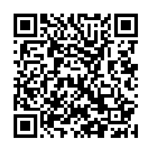 许紫烟那七品仙器的本体竟然把火焰狮的牙崩掉了一个二维码生成
