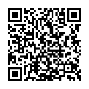 许紫烟飘浮在空中望着地面上的那条巨大的螭龙二维码生成