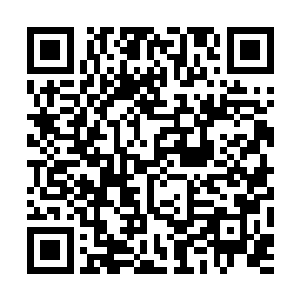 许+长+风+文学++cfwx+多没有可能拿到召集令二维码生成